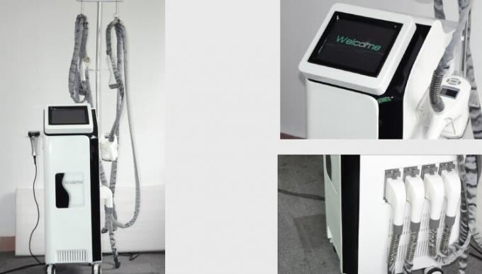vide rf de la cavitation 40K amincissant la machine V9 Velashape avec la certification de la CE